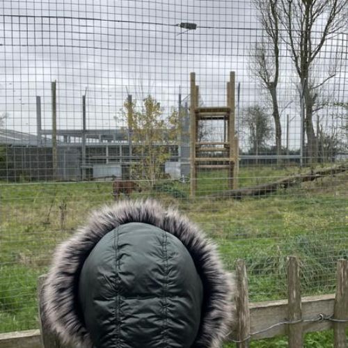 Twycross Zoo 14.11.23